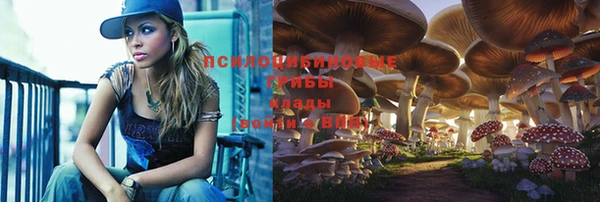 трава Балахна